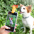 Hund sitzt vor Smartphone mit Selfie Stick für Haustiere und Leckerli