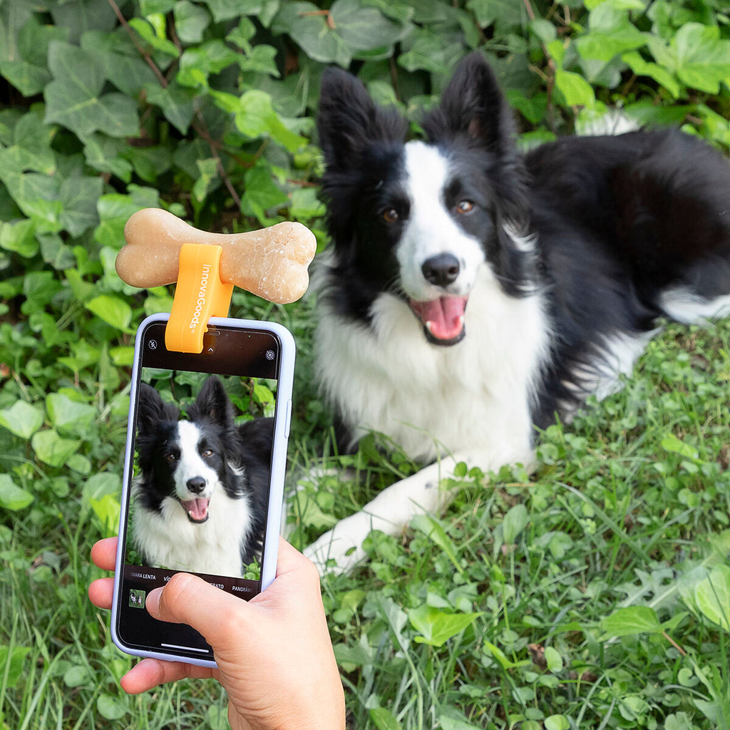Liegender Hund vor Smartphone mit Selfie Clip und Leckerli
